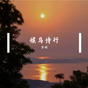 候鸟诗行