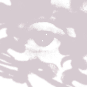 Fadha (Instrumental)