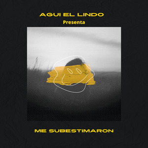 Me Subestimaron