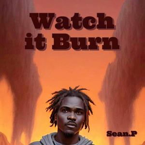 Watch it Burn