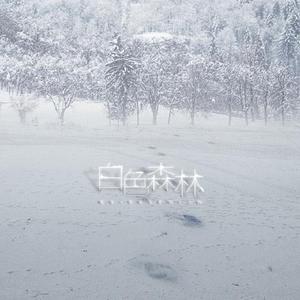 白色森林