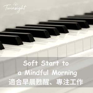 Light Through Leaves｜樹影斜光