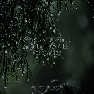Visiones Inspiradoras
