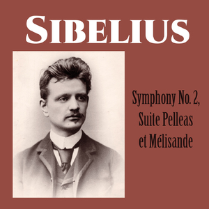 Symphony No. 2 in D Major, Op. 43:I. Allegretto