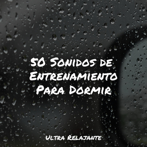 Mirar Fijamente A La Niebla