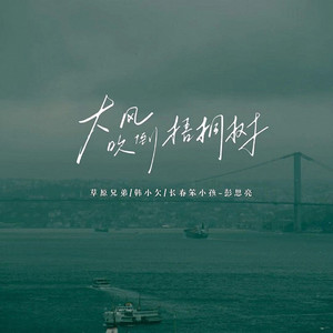 大风吹倒梧桐树 (扎心版)