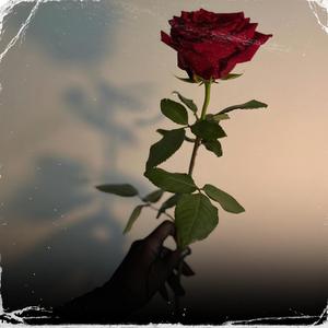 Gönül Yaram / Duygusal Ney Fon Müziği (Enstrümantal)