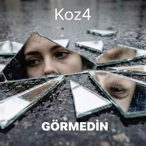 Görmedi̇n