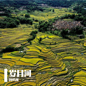 岁月河