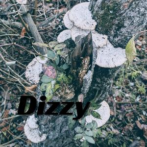 Dizzy