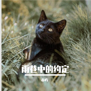 雨巷中的约定