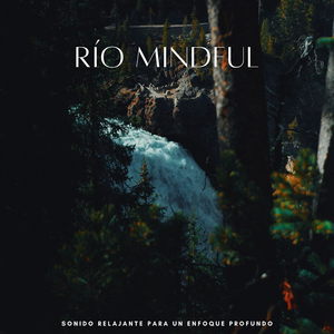 Concentración De Anclajes De Cadencia De La Naturaleza