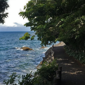 想いよひとつになれ(trance bootleg)