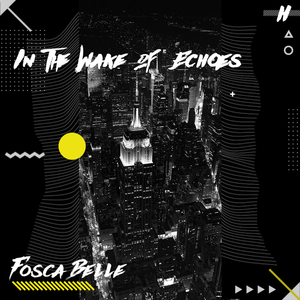 In the Wake of Echoes