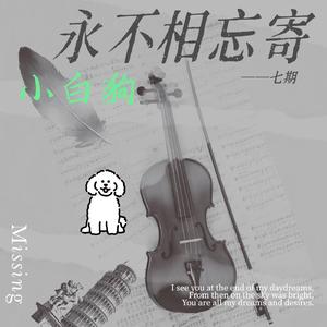 永不相忘——寄小白狗