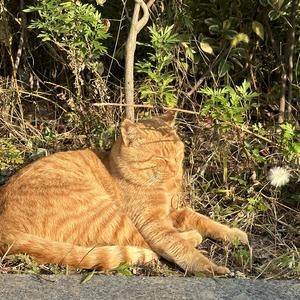 暖かい日と午後