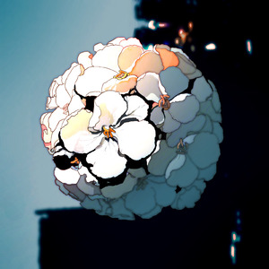 アダムとイブになれたら