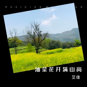油菜花开满山岗（DJ版）