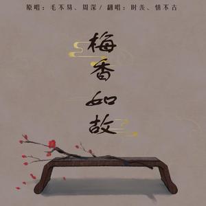 梅香如故（翻自 毛不易）