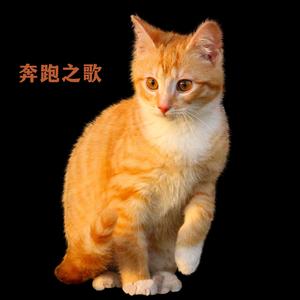 午后暖阳 (八音盒)