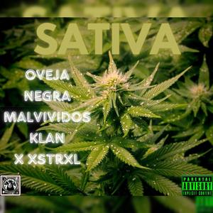 Sativa (feat. Xstrxl)