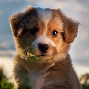 El Prado Sabe Mi Nombre