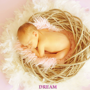 Dream (Song Version)