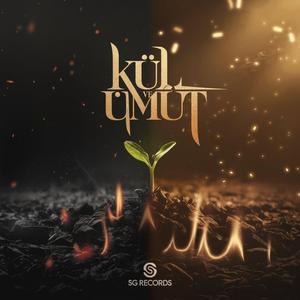 Yalanların İçinde