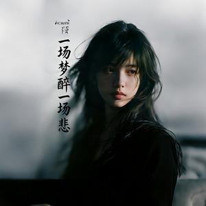 一场梦醉一场悲