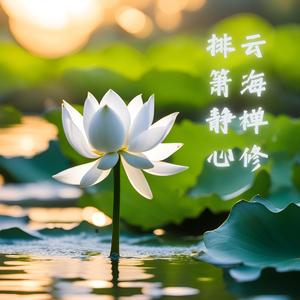 雨中冥思 (排箫自愈)