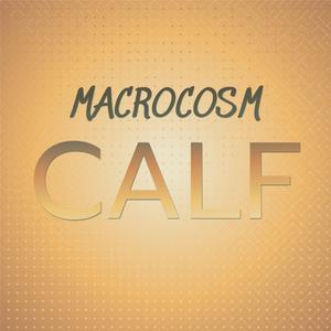 Undependability Evans