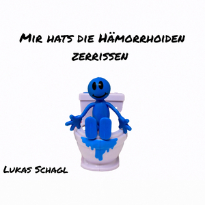 Mir Hats Die Hämorrhoiden Zerrissen
