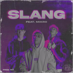 SLANG (feat. Mikro)