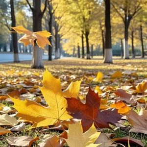 校园里的轻快民谣梦