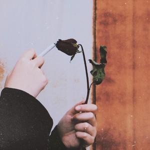 三心二意（Distracted）