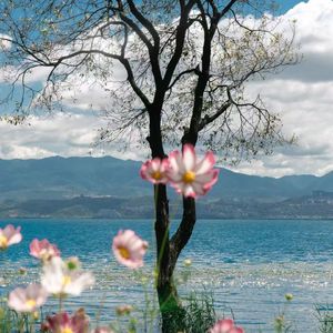 踏青漫游记（钢琴曲）