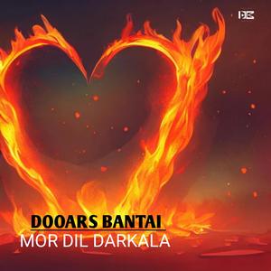 MOR DIL DARKALA