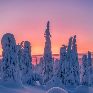 虽然炎炎夏日也很不错 但比起激情四射的盛夏 我更爱浪漫的冬季 因为在冬天遇见了那个比冬天还美丽的她