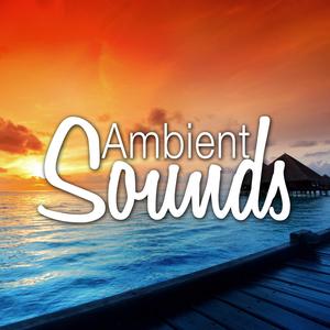 The Mists of Uncertainty