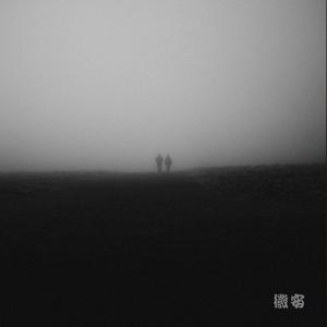 Shadows in the Fog