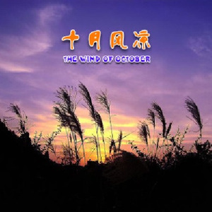 我若离去后会无期