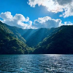 再尝苦果