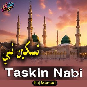 Taskin Nabi