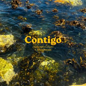 Contigo (feat. ASHESNDREAMS)