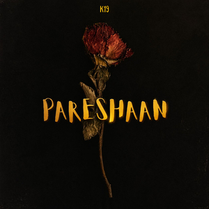 Pareshaan