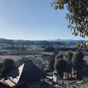 ドラッグストア野武士