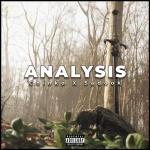 ANALYSIS (feat. Sadook)