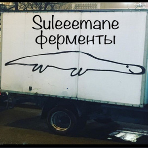 Ферменты