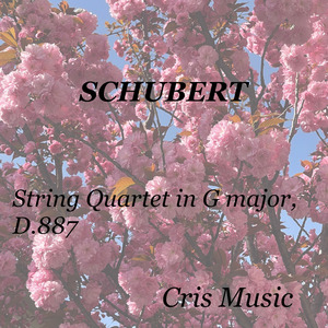 Schubert: String Quartet in G major, D.887: IV. Allegro Assai