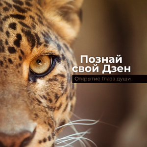 Четкое понимание